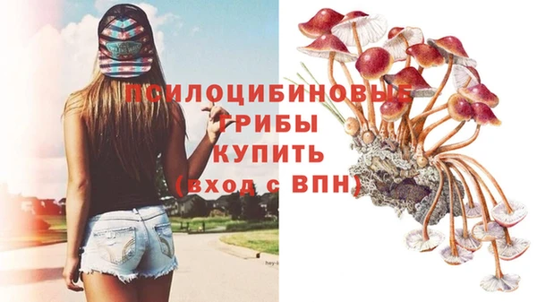 молекула духа Абдулино