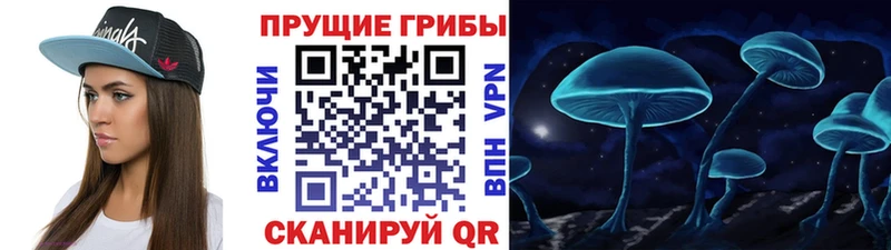 Псилоцибиновые грибы ЛСД  Новое Девяткино 
